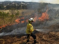 Pompier acuzat că a declanșat incendii de vegetație în Australia. „Este ultima trădare”