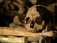Arheologii au descoperit un craniu vechi de 2 milioane de ani. Cui i-a aparținut
