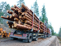 Camion cu lemne