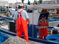 pescari sicilieni