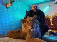 Dani Mocanu a promis că le arată fanilor leul, dar i-a păcălit. Clipul său a ajuns însă numărul 1 în trending pe YouTube