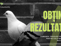 (P) Produsecolumbofile.ro - magazinul online al columbofililor de pretutindeni!
