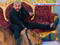 Leul din clipul lui Dani Mocanu a fost confiscat. Poliţia a mai găsit încă 8 lei, într-un sat din Dâmboviţa