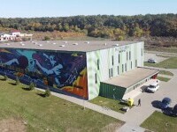 Una dintre cele mai mari picturi din România are aproape 600 de mp și se află într-o comună din Timiș. Ce spun sătenii