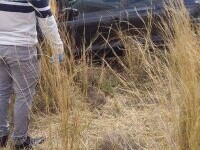 Justițiarul din viața reală. Un bărbat a eliminat rând pe rând membrii unei bande care teroriza localnicii