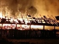 Incendiu violent în Bistrița. Un adăpost pentru animale a ars precum o torță