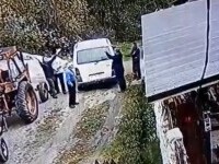 Un ofițer SRI a fost prins cu drujba în pădure, la tăiat de lemne. A intervenit și poliția. VIDEO