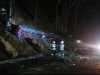 Doi copaci prăbușiți au blocat traficul pe Valea Prahovei. O oră și jumătate nu s-a circulat