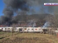 Zeci de pompieri s-au luptat cu flăcările la un atelier de prelucrare a lemnului. Incendiul s-a întins pe 500 de mp