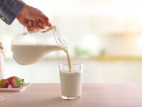 Cum putem ține sub control intoleranța la lactoză. Răspunsul Mihaelei Bilic
