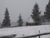 Ninge puternic la Pasul Tihuța. Drumarii au intervenit de urgență