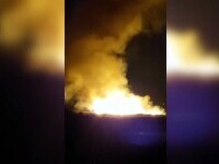 Incendiu violent de vegetație în Bacău. Au ars șase hectare
