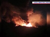 Arderi masive la Sintești. Comisarii Gărzii de Mediu, atacați de localnici. Forțele de ordine i-au imobilizat