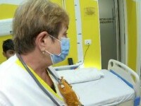 Val de viroze respiratorii, în Arad, la copii. Care sunt simptomele care îi trimit de urgență la spital