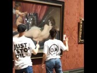 Activiștii au distrus cu ciocane pictura „Venus Rokeby”