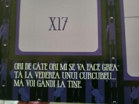 Broșură cu mesaje șocante, împărțite elevilor unei școli din Iași „Mi se va face greaţă la vederea unui curcubeu”