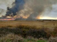 Incendiu uriaș în Delta Neajlovului din Giurgiu. Peste 60 de hectare de stuf au fost curpinse de flăcări