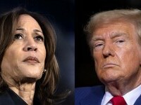 kamala harris donald trump