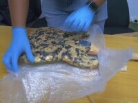 VIDEO. Ce au găsit agenții Direcției Naționale pentru Controlul Drogurilor din Republica Dominicană într-o chitară electrică