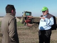 Criza fermelor din România. Seceta a dus la peste 120 de insolvențe în nouă luni și pierderi masive pentru agricultori