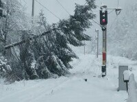 Vântul puternic a avariat acoperișuri și fire electrice și a smuls copaci din rădăcini, în Brașov