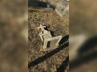 Morminte profanate de minori, într-un cimitir din Arad. Opt monumente funerare au fost distruse