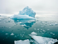 Un ghețar din Antarctica a înregistrat cea mai rapidă retragere din istoria modernă. Care ar putea si urmările devastatoare