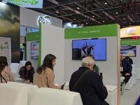 Turismul românesc, în declin pe plan intern. Autoritățile încearcă să aducă vizitatori străini la târgul din Londra