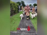 Pompierii australieni revin cu un nou calendar pentru 2026 – ședință foto inedită alături de cățeluși