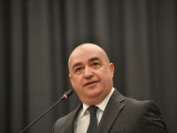mihai barbu arf