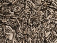 Semințe de floarea-soarelui