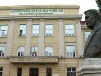 profesor violator iasi