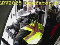 Vatmaniță filmată dormind