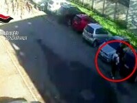 roman italia, foc, sotie