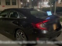 securitate cibernetica