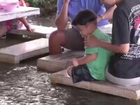 copil restaurant apa