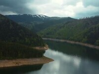 Specia dispărută pe cale a fi introdusă în România. Vine din Spania și ajunge la Rucăr