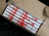 Captură uriașă în Dolj. Polițiștii au găsit sute de mii de pachete de țigări de contrabandă în mașina unui sârb