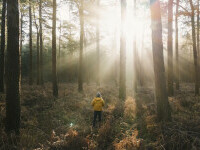 Vremea azi, 25 noiembrie. Atmosferă însorită în cea mai mare parte a țării. Maxime între 9 și 17 grade