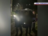 O femeie de 85 de ani din Vaslui a murit după ce ar fi fost sfâşiată de câini. Poliţiştii au deschis un dosar penal