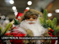 (P) Magia Crăciunului începe la LEROY MERLIN: brazi pentru orice spațiu și decorațiuni pentru o atmosferă de poveste