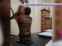 primar livezile viol