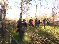 scandal copaci sector 3