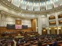 Nicuşor Dan, Parlament