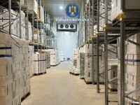 Evaziune trufe și fructe