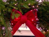 Românii se pregătesc pentru sărbători cu decorațiuni spectaculoase. Care sunt ornamentele care domină piața anul acesta