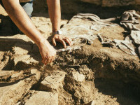 Descoperire arheologică