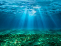 Fenomenul extraordinar observat de cercetători pe bombele naziste abandonate pe fundul mării