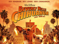 Beverly Hills Chihuahua