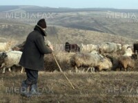 Botosani: barbat omorat de un cioban care voia razbunare